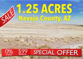 Holbrook, Arizona 86025, ,Land,Sold,1479