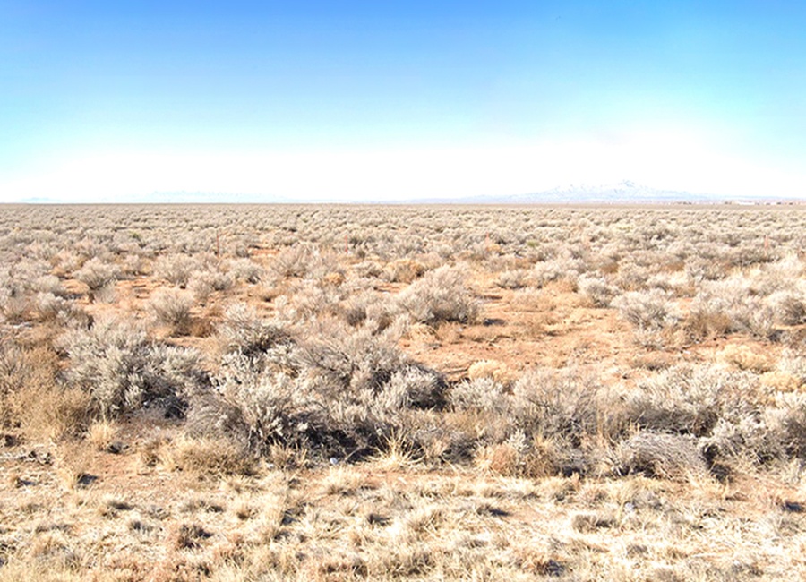 Belen, New Mexico 87002, ,Land,Sold,1505