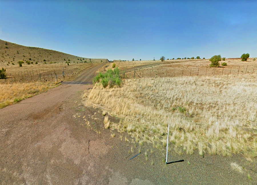 Concho, Arizona 85924, ,Land,Sold,1518