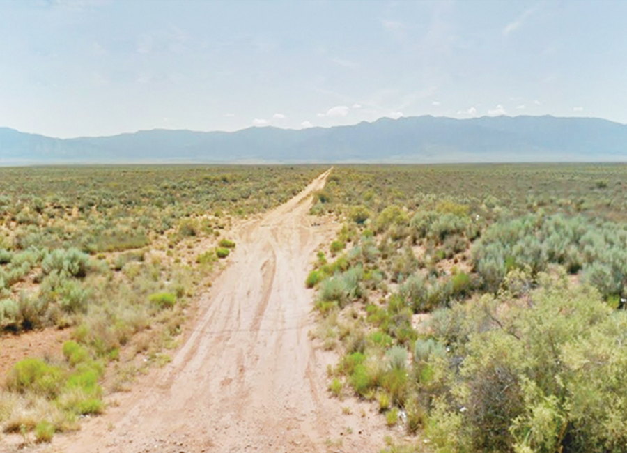 Belen, New Mexico 87031, ,Land,Sold,1566