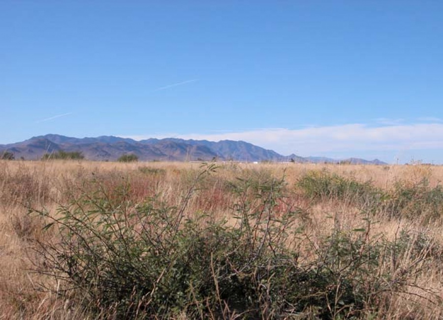 Cochise, Arizona, ,Land,Sold,1056