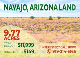 Holbrook, Arizona 86025, ,Land,Sold,1573