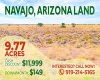 Holbrook, Arizona 86025, ,Land,For Sale,1580