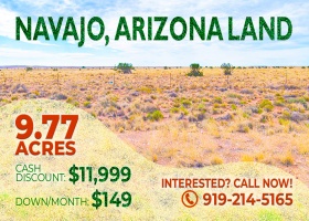 Holbrook, Arizona 86025, ,Land,Sold,1580