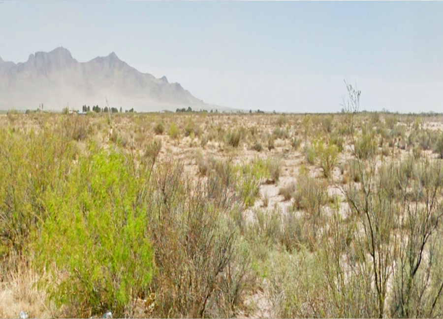 Deming, Arizona 88030, ,Land,Sold,1659