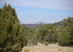 Peach Springs, Arizona 86434, ,Land,Sold,1065