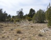 Peach Springs, Arizona 86434, ,Land,Sold,1065