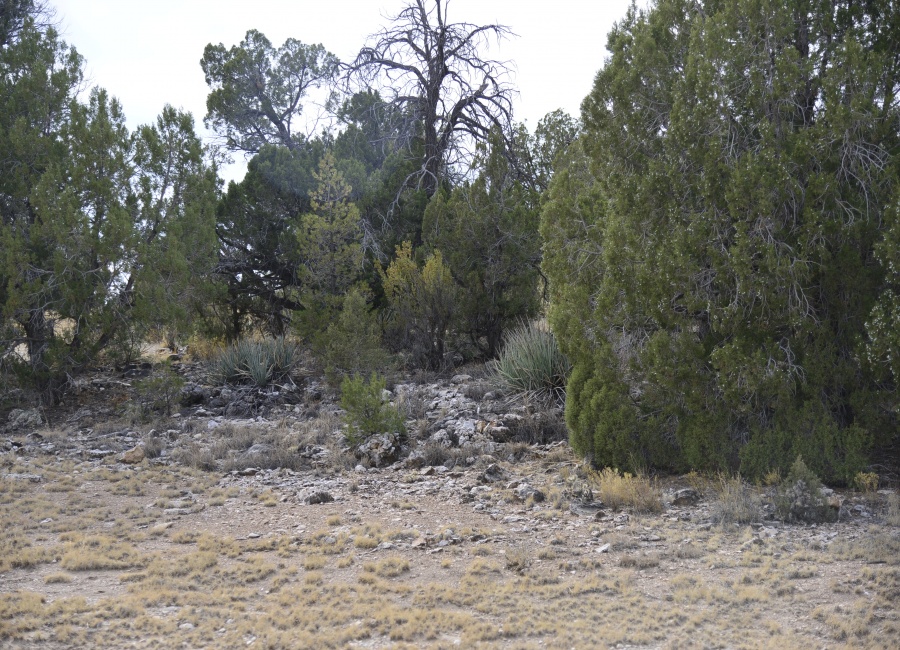 Peach Springs, Arizona 86434, ,Land,Sold,1065