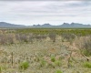 Douglas, Arizona 85607, ,Land,Sold,1677
