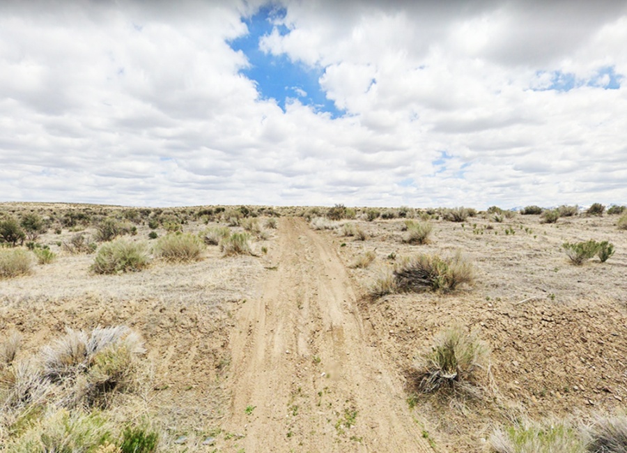19th St, Nevada 89801, ,Land,Sold,1696