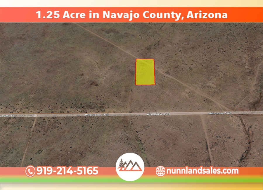 Holbrook, Arizona 86025, ,Land,For Sale,1732