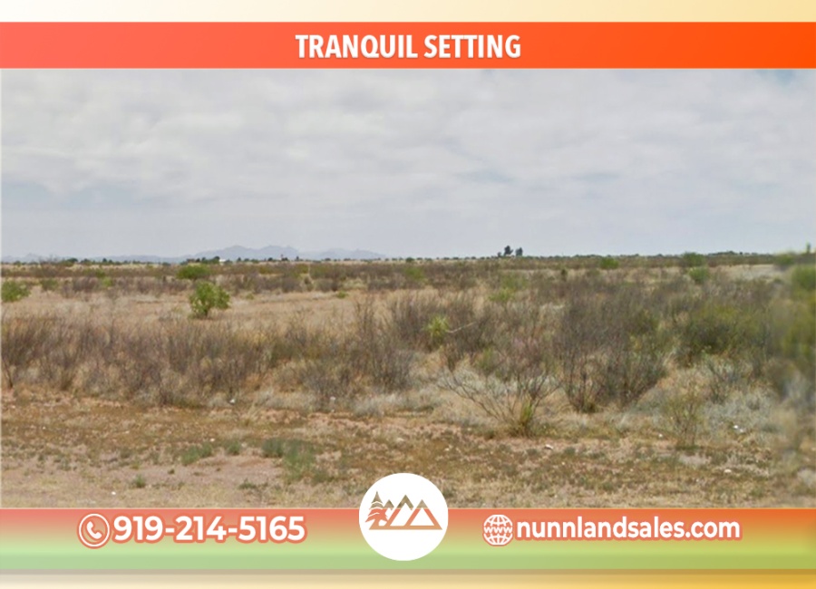 Douglas, Arizona 85607, ,Land,Sold,1746