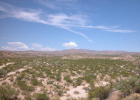 Topock, Arizona 86436, ,Land,Sold,1072