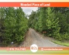 Shirley, Arkansas 72153, ,Land,Sold,1774