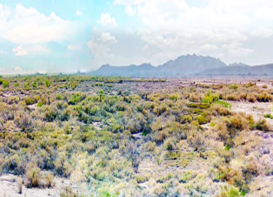 Deming, New Mexico 88030, ,Land,Sold,1775