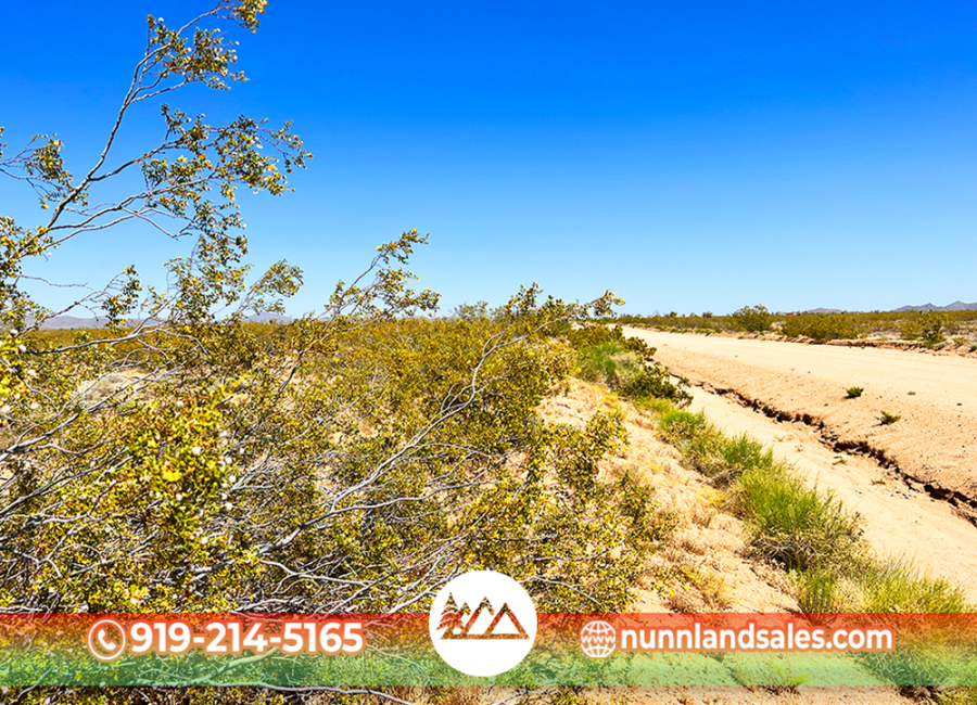 Lake Havasu, Arizona 86404, ,Land,Sold,1778