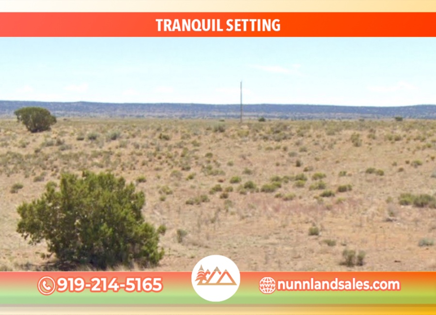 Chambers, Arizona 86502, ,Land,Sold,1795