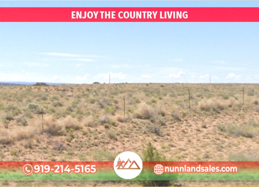 Chambers, Arizona 86502, ,Land,Sold,1795