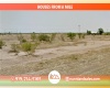 Douglas, Arizona 85607, ,Land,Sold,1797