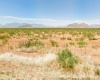 Elfrida, Arizona 85610, ,Land,Sold,1808