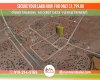 Concho, Arizona 85924, ,Land,Sold,1820
