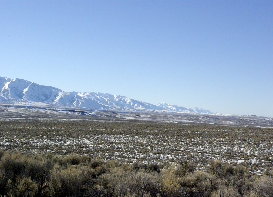 Elko, Nevada, ,Land,Sold,1081