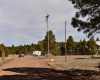 Herber, Arizona 85928, ,Land,Sold,1083
