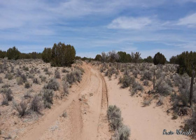 Saint Johns, Arizona 86502, ,Land,Sold,1088