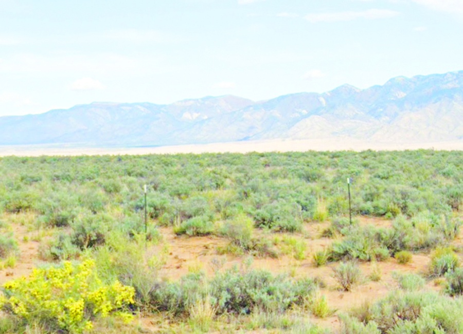 Belen, New Mexico 87002, ,Land,For Sale,1951
