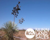 Pearce, Arizona 85625, ,Land,Sold,1092