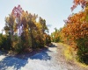 Horseshoe Bend, Arkansas 72512, ,Land,Sold,1980