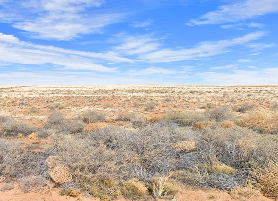 Holbrook, Arizona 86025, ,Land,Sold,1981