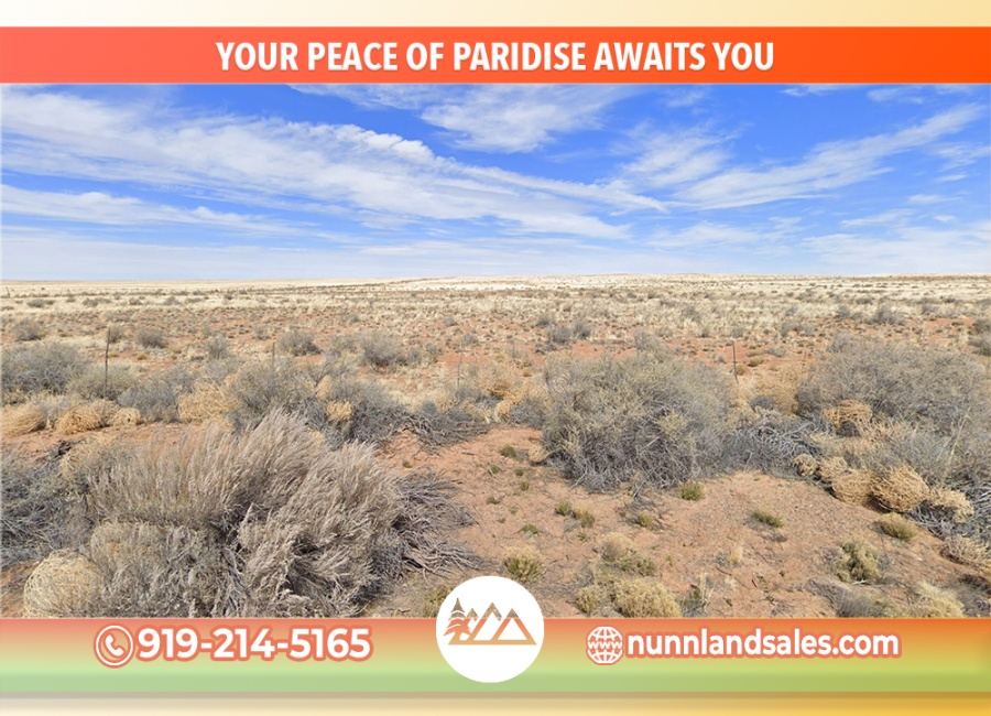 Holbrook, Arizona 86025, ,Land,Sold,1981