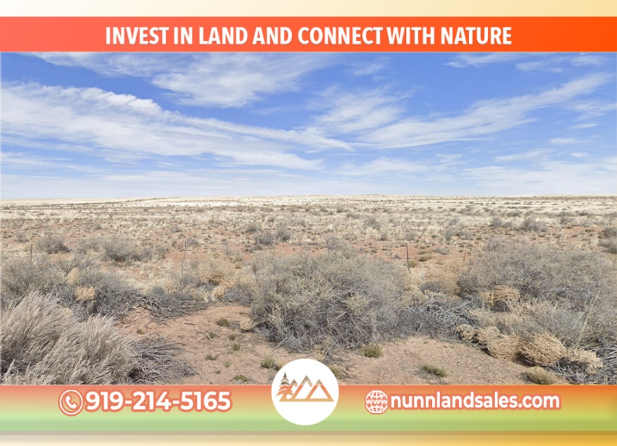 Holbrook, Arizona 86025, ,Land,Sold,1981