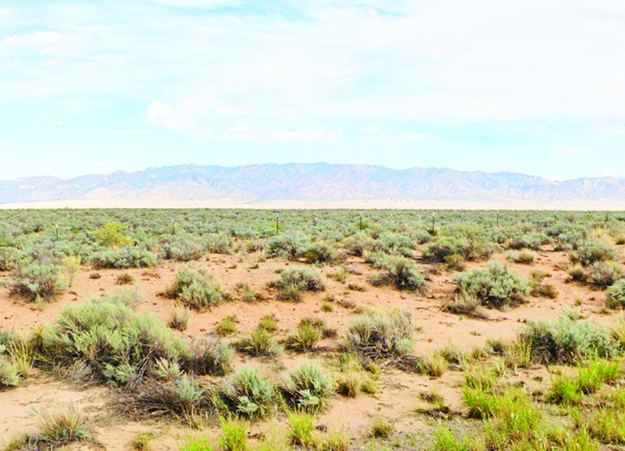 Belen, New Mexico 87002, ,Land,Sold,1986