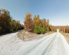 Horseshoe Bend, Arkansas 72512, ,Land,Sold,1990