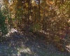 Horseshoe Bend, Arkansas 72512, ,Land,Sold,1990